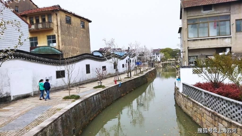 临县人大常委会组织驻县市人大代表开展集中视察
